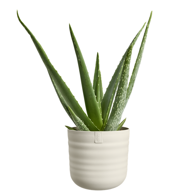 dune rund 16cm linen white